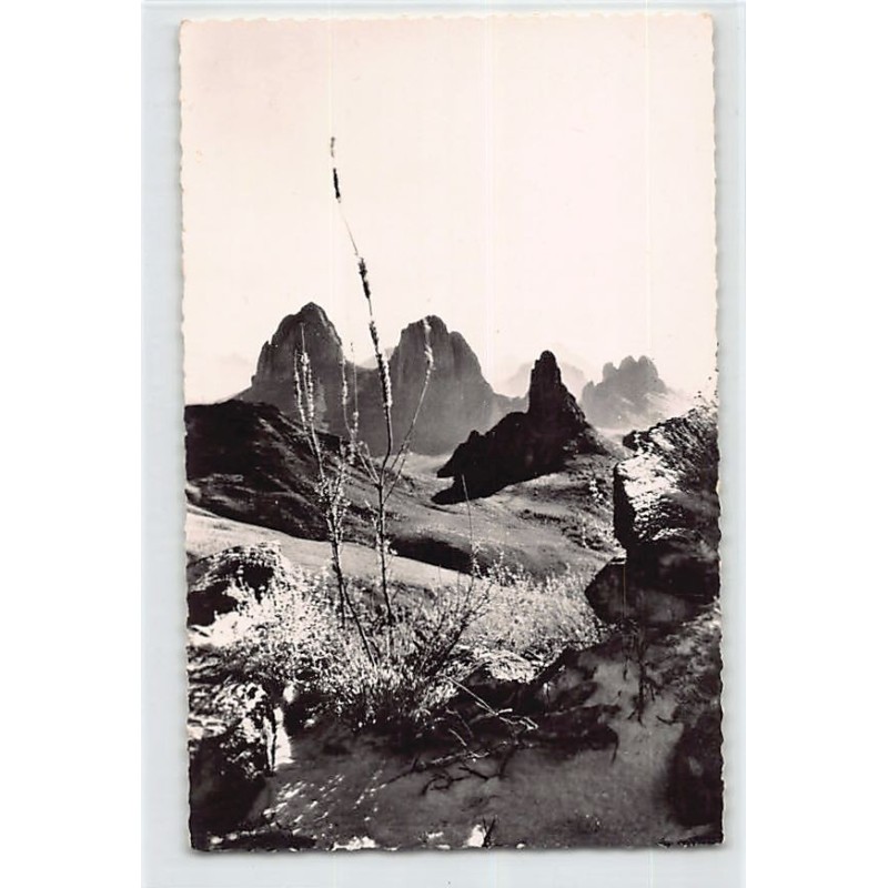 Rare collectable postcards of ALGERIA Algérie. Vintage Postcards of ALGERIA Algérie