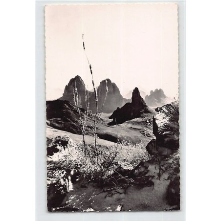 Rare collectable postcards of ALGERIA Algérie. Vintage Postcards of ALGERIA Algérie