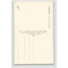 Rare collectable postcards of ALGERIA Algérie. Vintage Postcards of ALGERIA Algérie