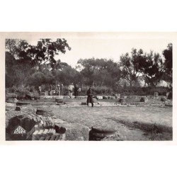 Rare collectable postcards of ALGERIA Algérie. Vintage Postcards of ALGERIA Algérie