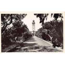 Rare collectable postcards of ALGERIA Algérie. Vintage Postcards of ALGERIA Algérie