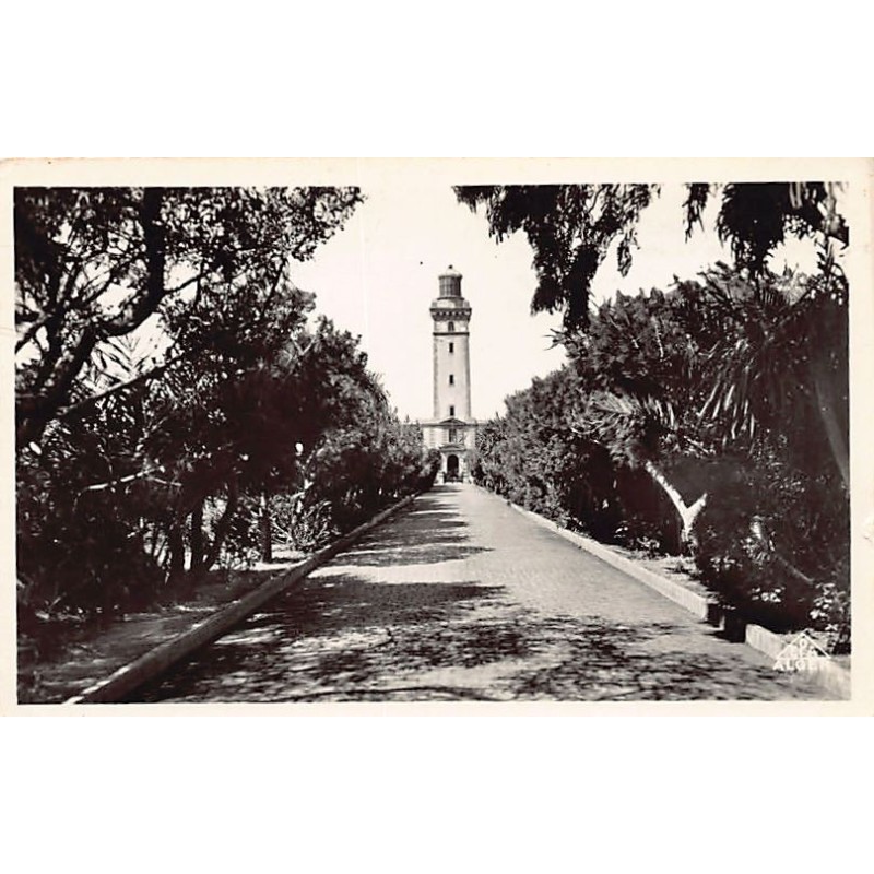 Rare collectable postcards of ALGERIA Algérie. Vintage Postcards of ALGERIA Algérie