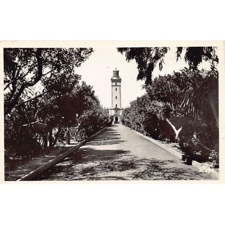 Rare collectable postcards of ALGERIA Algérie. Vintage Postcards of ALGERIA Algérie