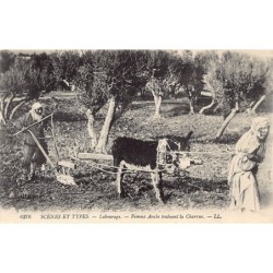 Rare collectable postcards of ALGERIA Algérie. Vintage Postcards of ALGERIA Algérie