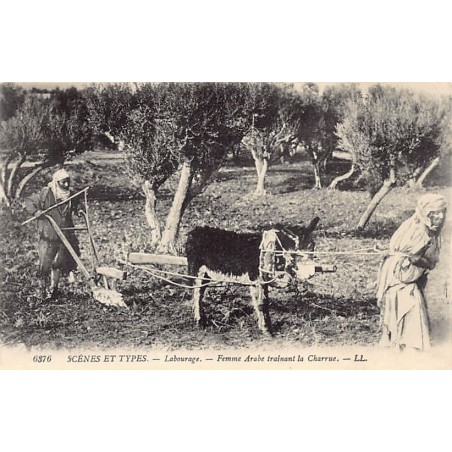 Rare collectable postcards of ALGERIA Algérie. Vintage Postcards of ALGERIA Algérie