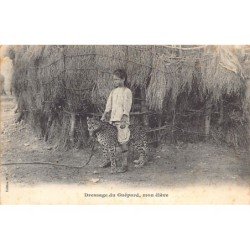 Rare collectable postcards of DJIBOUTI. Vintage Postcards of DJIBOUTI