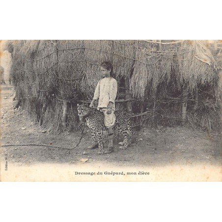 Rare collectable postcards of DJIBOUTI. Vintage Postcards of DJIBOUTI