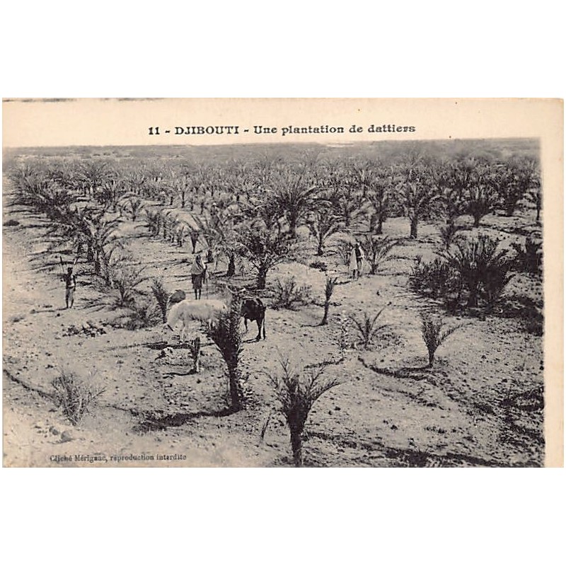 Rare collectable postcards of DJIBOUTI. Vintage Postcards of DJIBOUTI