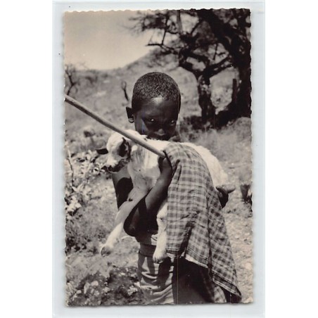 Rare collectable postcards of DJIBOUTI. Vintage Postcards of DJIBOUTI