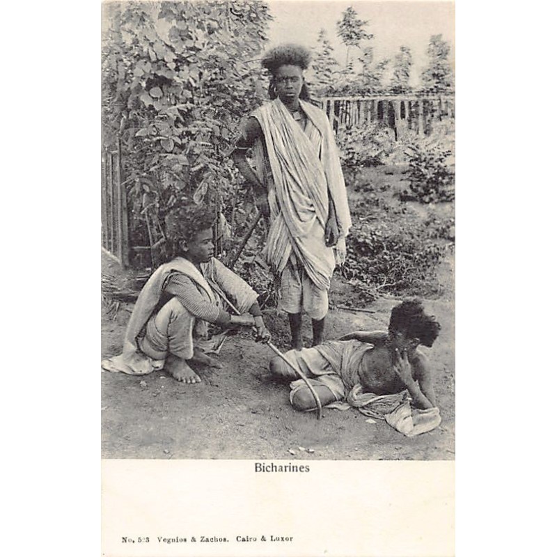 Rare collectable postcards of EGYPT. Vintage Postcards of EGYPT