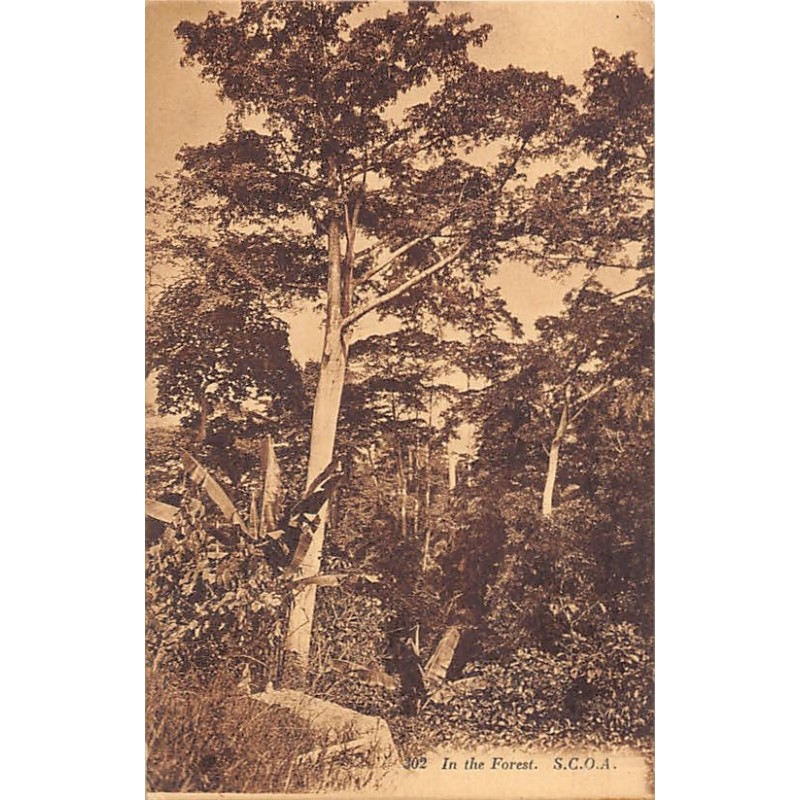 Rare collectable postcards of GHANA Gold Coast. Vintage Postcards of GHANA Gold Coast