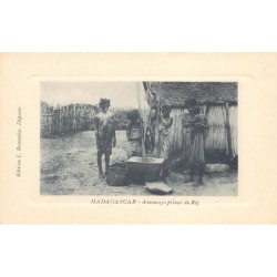 Rare collectable postcards of MADAGASCAR. Vintage Postcards of MADAGASCAR