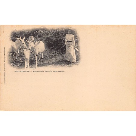 Rare collectable postcards of MADAGASCAR. Vintage Postcards of MADAGASCAR
