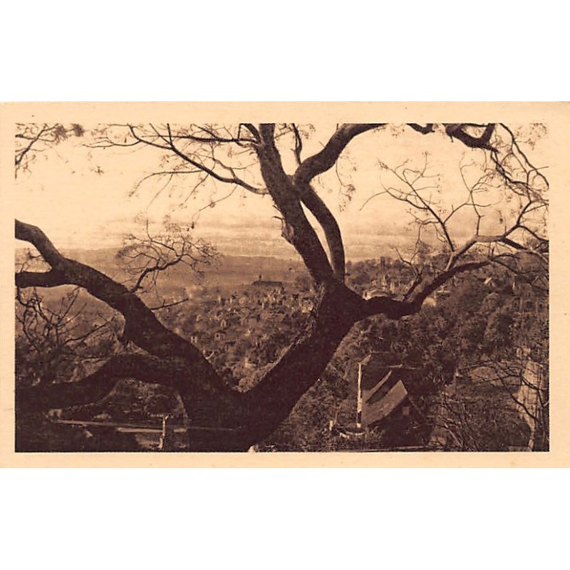 Rare collectable postcards of MADAGASCAR. Vintage Postcards of MADAGASCAR