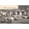 Rare collectable postcards of MADAGASCAR. Vintage Postcards of MADAGASCAR