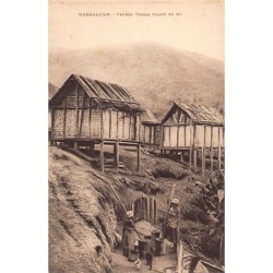 Rare collectable postcards of MADAGASCAR. Vintage Postcards of MADAGASCAR