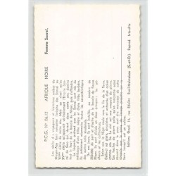 Rare collectable postcards of MALI. Vintage Postcards of MALI