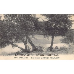 Rare collectable postcards of MOROCCO Maroc. Vintage Postcards of MOROCCO Maroc