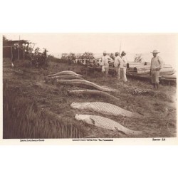 Rare collectable postcards of BRAZIL. Vintage Postcards of BRAZIL