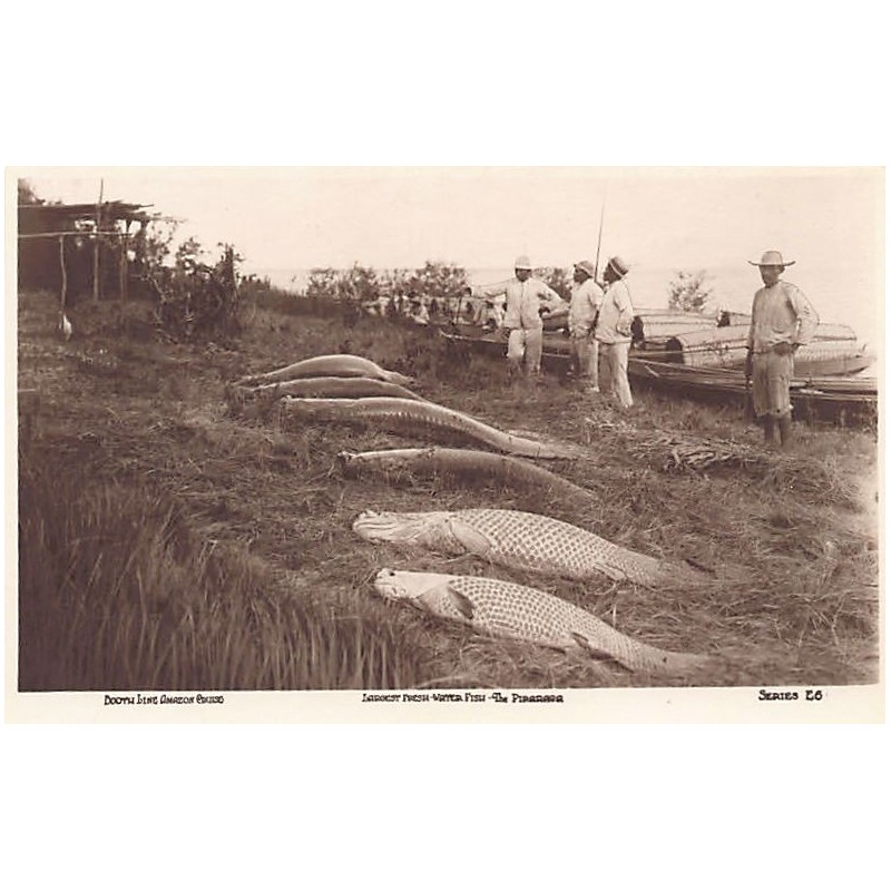 Rare collectable postcards of BRAZIL. Vintage Postcards of BRAZIL