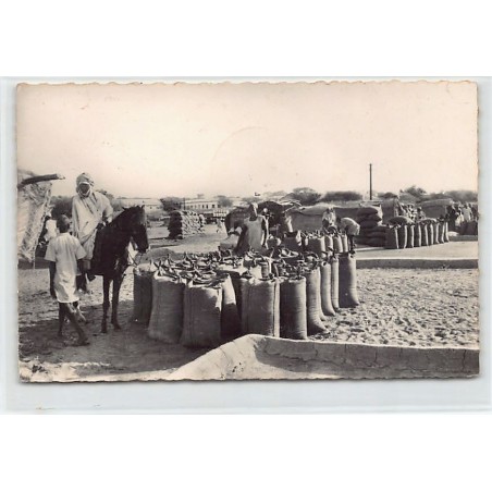 Rare collectable postcards of NIGER. Vintage Postcards of NIGER