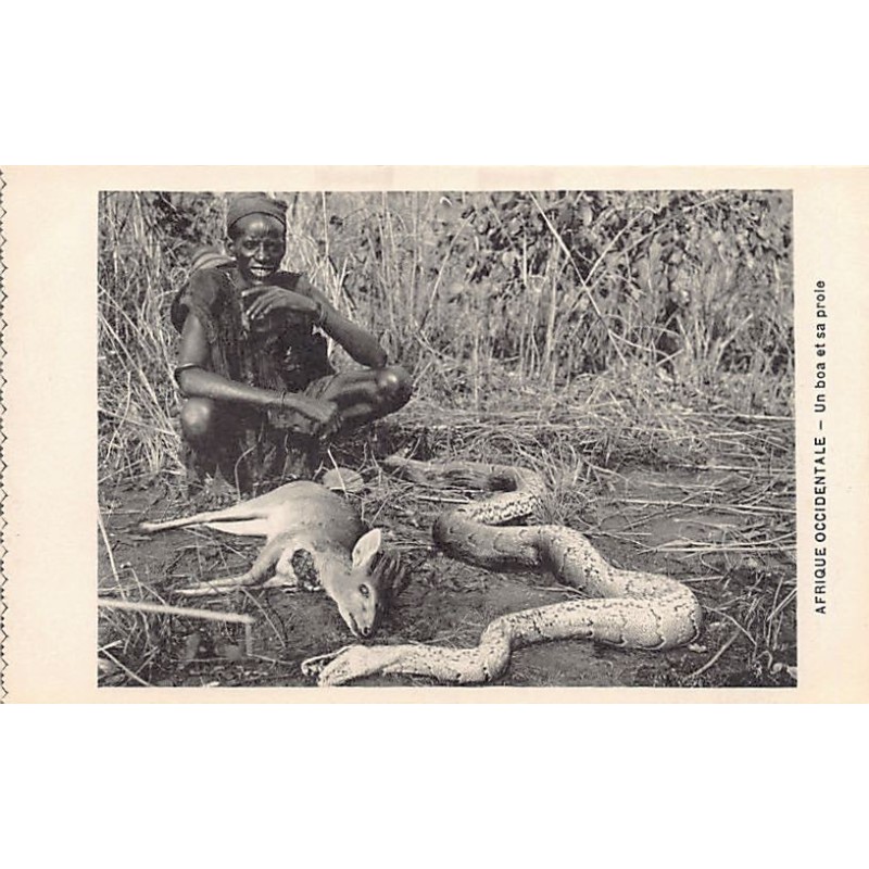 Rare collectable postcards of NIGER. Vintage Postcards of NIGER