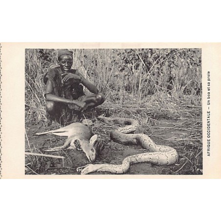 Rare collectable postcards of NIGER. Vintage Postcards of NIGER