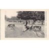 Rare collectable postcards of NIGER. Vintage Postcards of NIGER