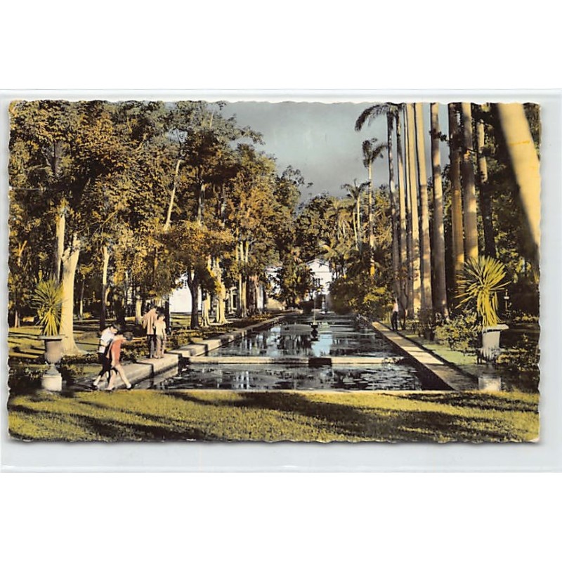 Rare collectable postcards of LA RÉUNION. Vintage Postcards of LA RÉUNION