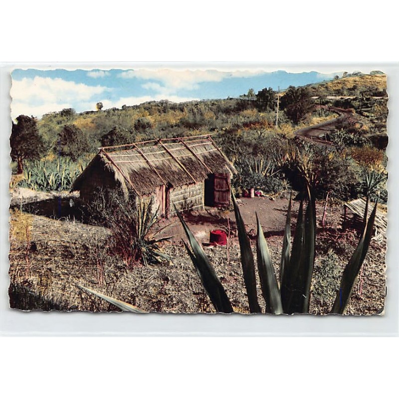 Rare collectable postcards of LA RÉUNION. Vintage Postcards of LA RÉUNION