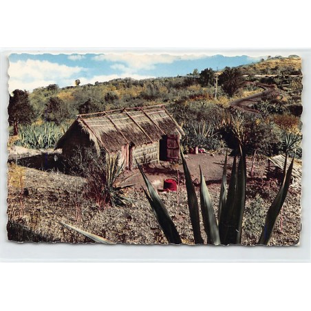 Rare collectable postcards of LA RÉUNION. Vintage Postcards of LA RÉUNION