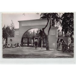 Rare collectable postcards of SENEGAL. Vintage Postcards of SENEGAL