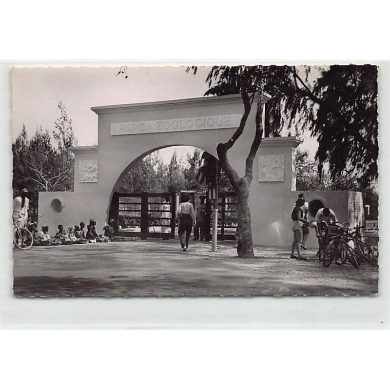 Rare collectable postcards of SENEGAL. Vintage Postcards of SENEGAL
