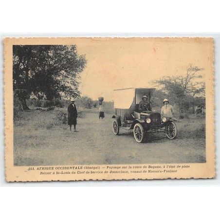 Rare collectable postcards of SENEGAL. Vintage Postcards of SENEGAL