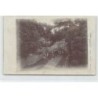 Rare collectable postcards of SENEGAL. Vintage Postcards of SENEGAL