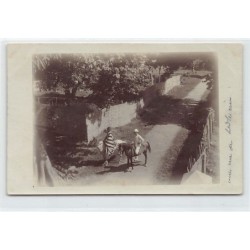 Rare collectable postcards of SENEGAL. Vintage Postcards of SENEGAL