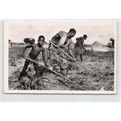 Rare collectable postcards of SENEGAL. Vintage Postcards of SENEGAL
