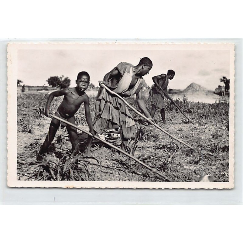 Rare collectable postcards of SENEGAL. Vintage Postcards of SENEGAL