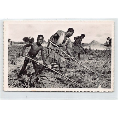 Rare collectable postcards of SENEGAL. Vintage Postcards of SENEGAL