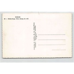 Rare collectable postcards of SENEGAL. Vintage Postcards of SENEGAL