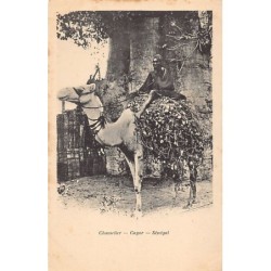 Rare collectable postcards of SENEGAL. Vintage Postcards of SENEGAL