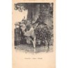 Rare collectable postcards of SENEGAL. Vintage Postcards of SENEGAL