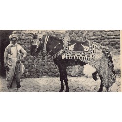 Rare collectable postcards of TUNISIA Tunisie. Vintage Postcards of TUNISIA Tunisie