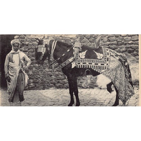 Rare collectable postcards of TUNISIA Tunisie. Vintage Postcards of TUNISIA Tunisie