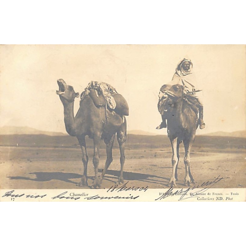 Rare collectable postcards of TUNISIA Tunisie. Vintage Postcards of TUNISIA Tunisie