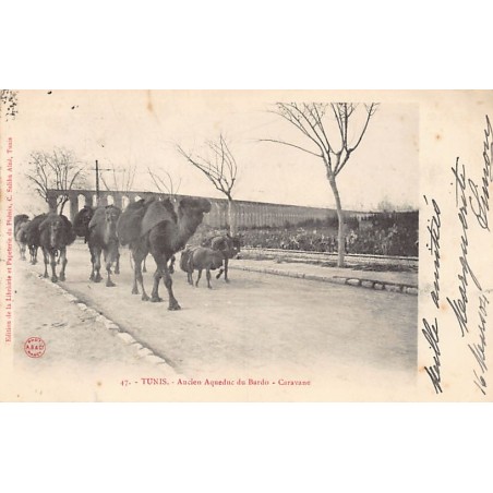 Rare collectable postcards of TUNISIA Tunisie. Vintage Postcards of TUNISIA Tunisie