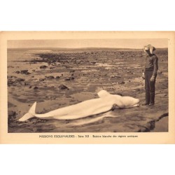 Rare collectable postcards of CANADA. Vintage Postcards of CANADA