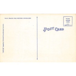 Rare collectable postcards of USA. Vintage Postcards of USA