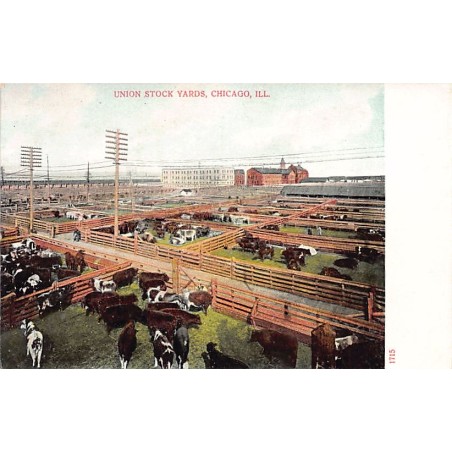 Rare collectable postcards of USA. Vintage Postcards of USA