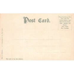 Rare collectable postcards of USA. Vintage Postcards of USA